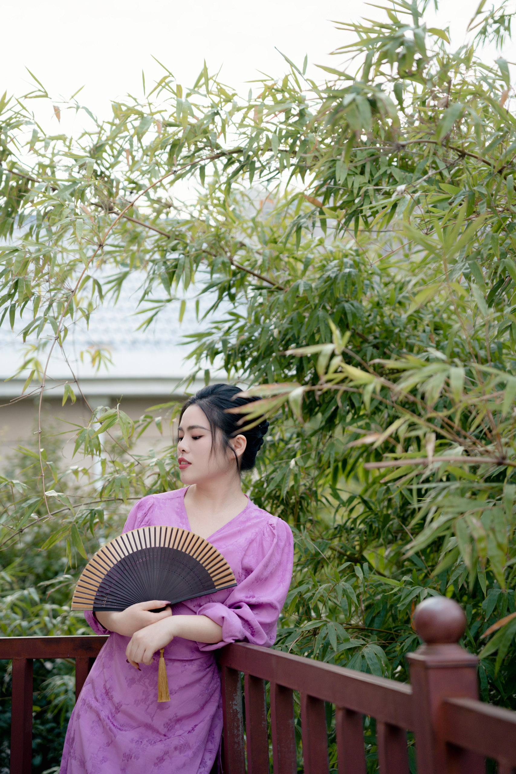 Wang & Liu