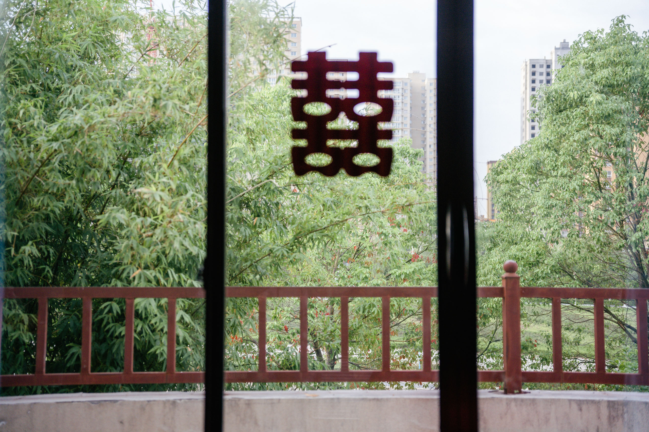 Wang & Liu