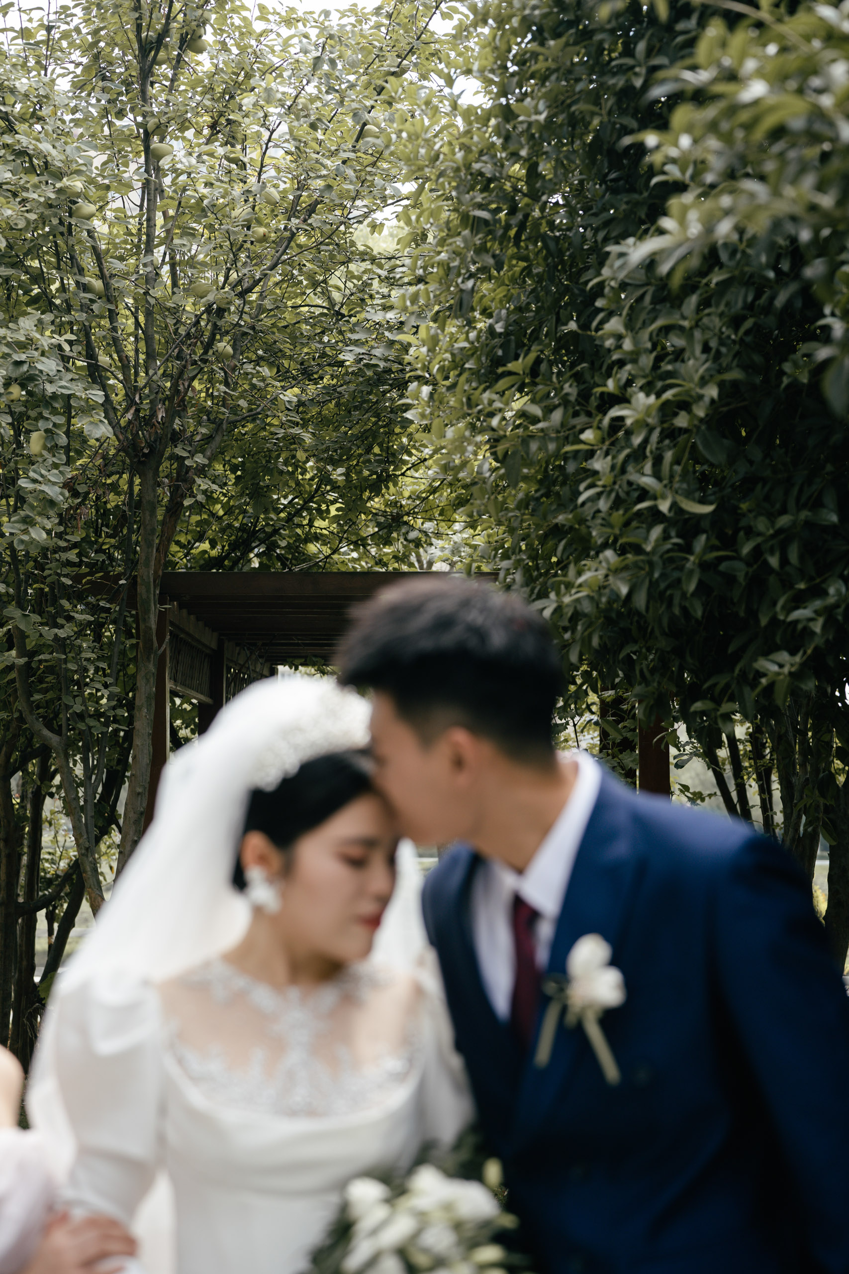 Wang & Liu